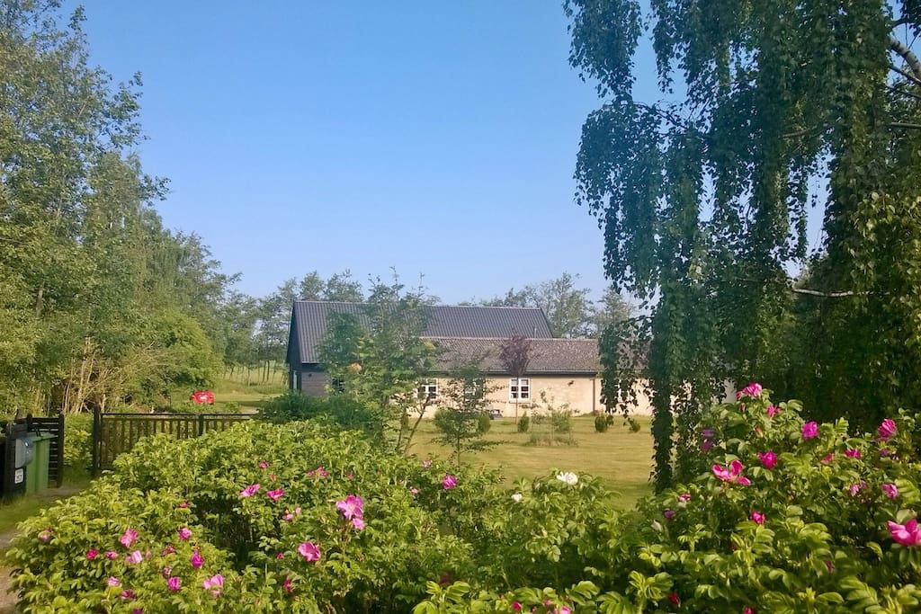 The guesthouse is the beige house seen from the main road. The black house in the back is the one we live in.