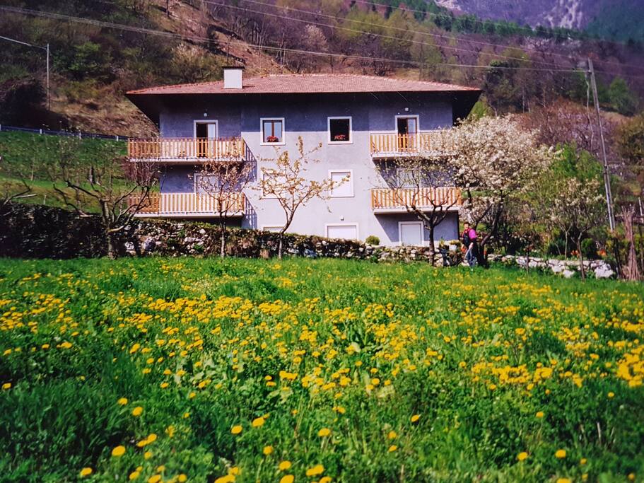 Panoramica