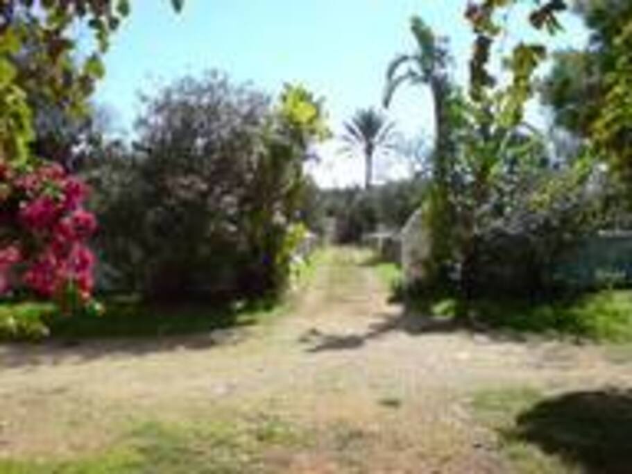 Acceso a la piscina