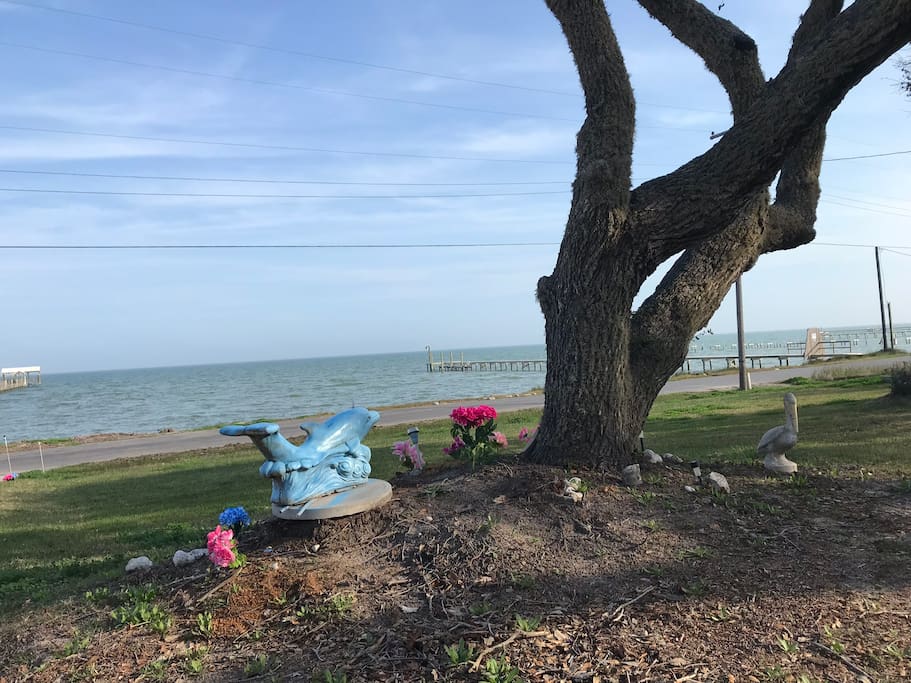 Relaxing view of the water. Piers are not ours.! Many guests wade fish out front and have caught lots of fish. It’s shallow for a long way out. You can also see dolphins out there playing sometimes.