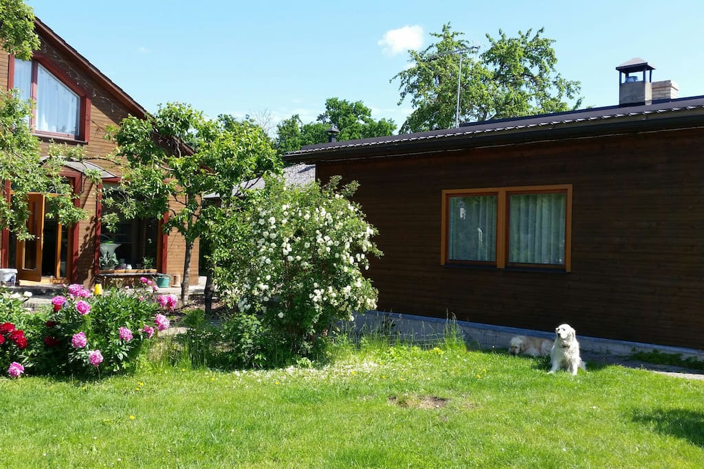 Backyard and a side view of the house
