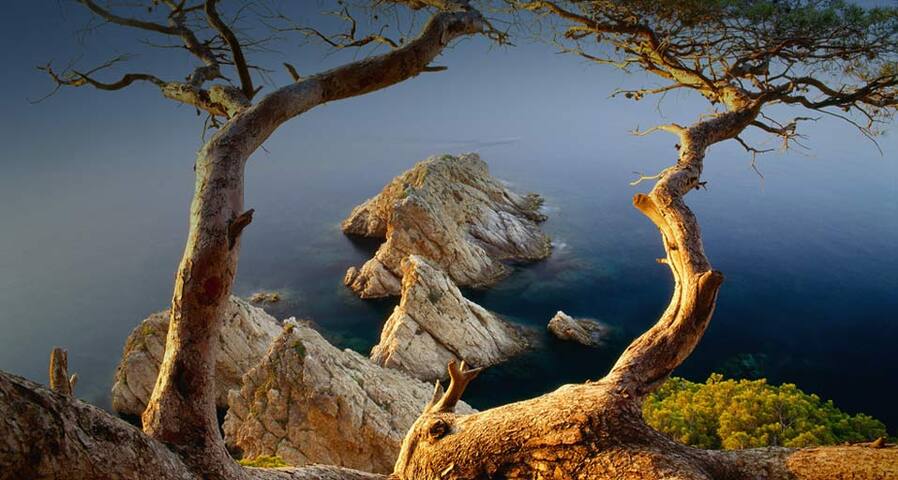 High Standard luxury and cosy Duplex in Tossa gallery image 2