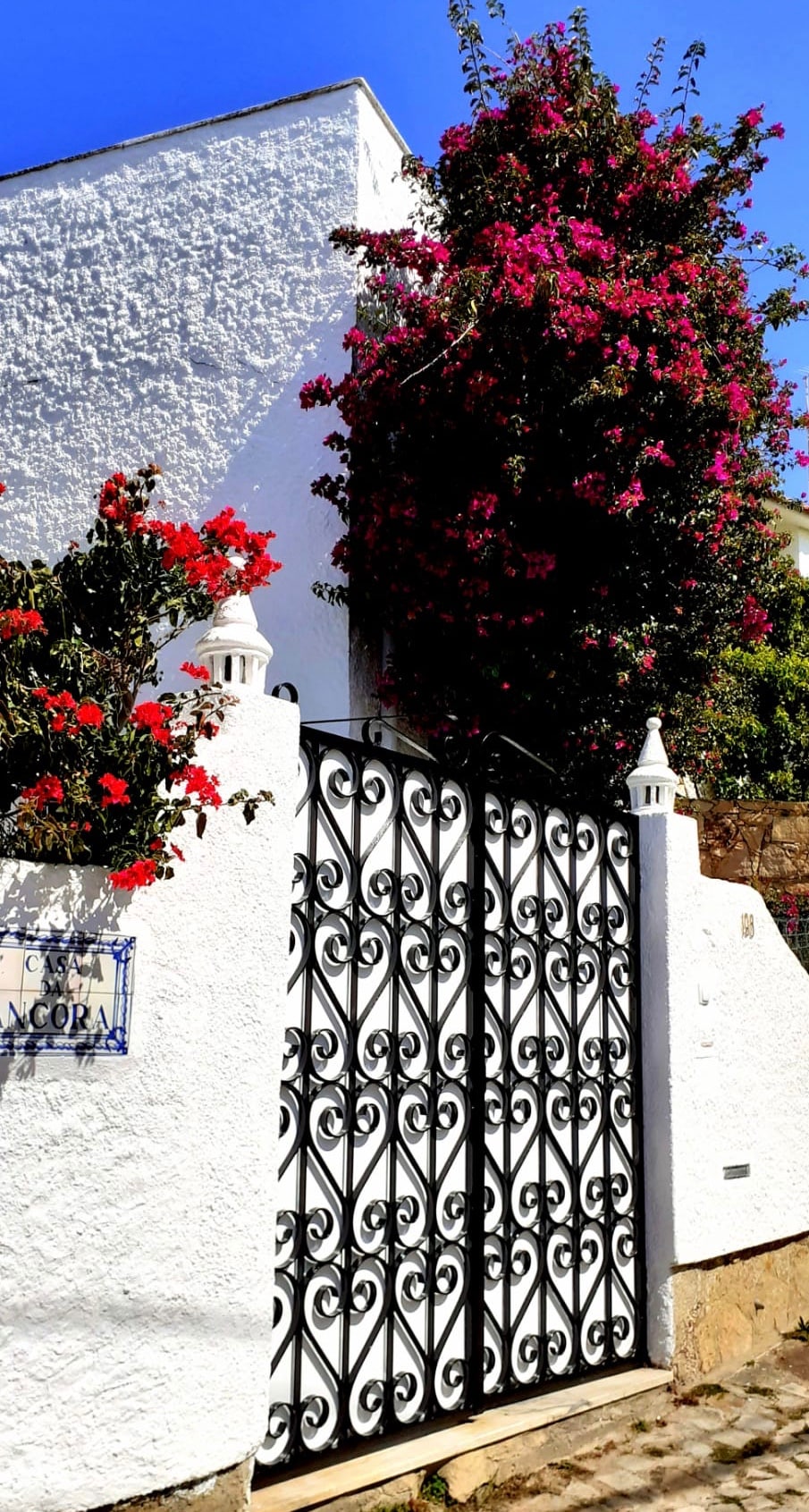 An elegant entrance gate adorned with intricate black wrought iron designs is framed by vibrant bougainvillea plants, creating a striking contrast against the whitewashed wall of the home. The bright blue sky complements the colorful flowers, enhancing the welcoming appearance of the property.