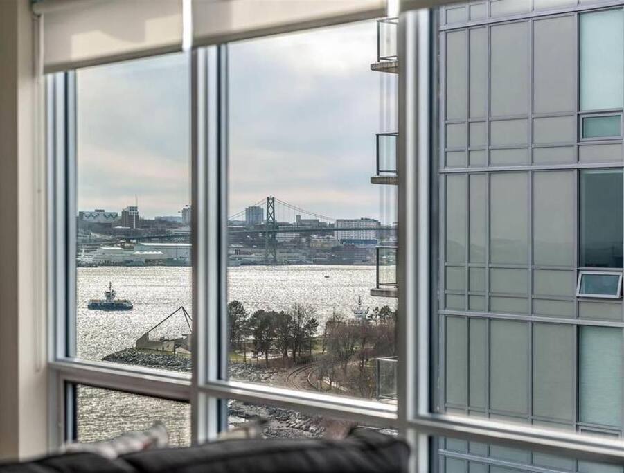View From Living Room