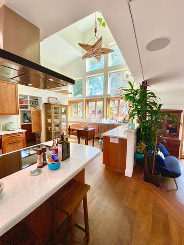 Amazing 4 BR smart home close to Stanford gallery image 4