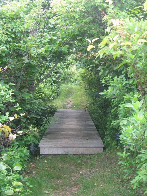 Path from Parking to House