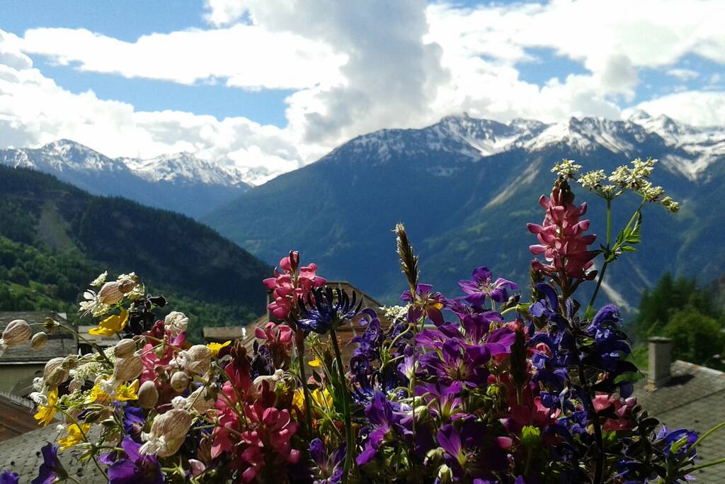 La vue depuis la séjour