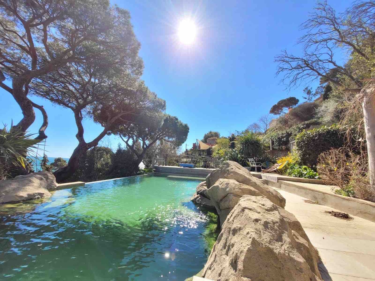 A swimming pool surrounded by lush greenery and natural rock formations reflects the clear blue sky and bright sun. Poolside loungers are positioned nearby, offering a serene space for relaxation. The vibrant foliage creates a tranquil, inviting environment.