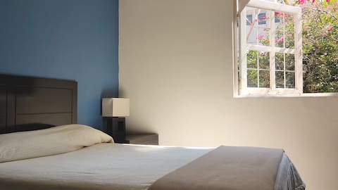 Zona La Paz, Angelópolis y Triángulo las Ánimas