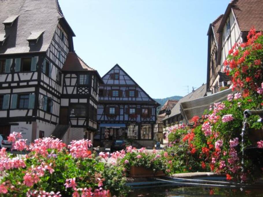 Appartement Dambach La Ville Appartement Dambach La Ville
