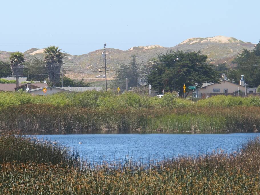 View from nearby Locke Paddon Park, Marina, CA