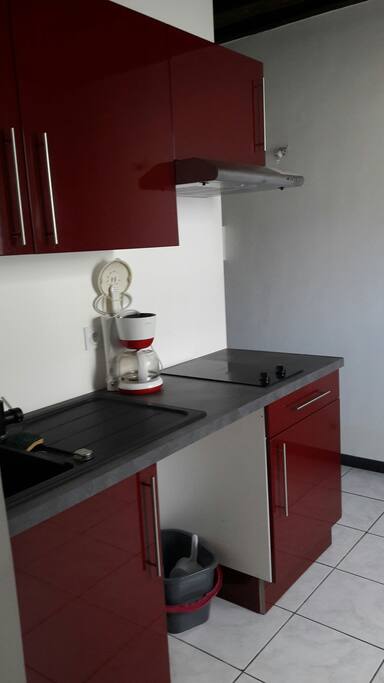 cuisine équipée avec plaques vitro , frigo congélateur, micro-ondes et four.