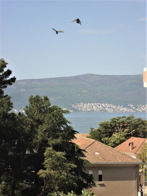 Pogled sa prozora