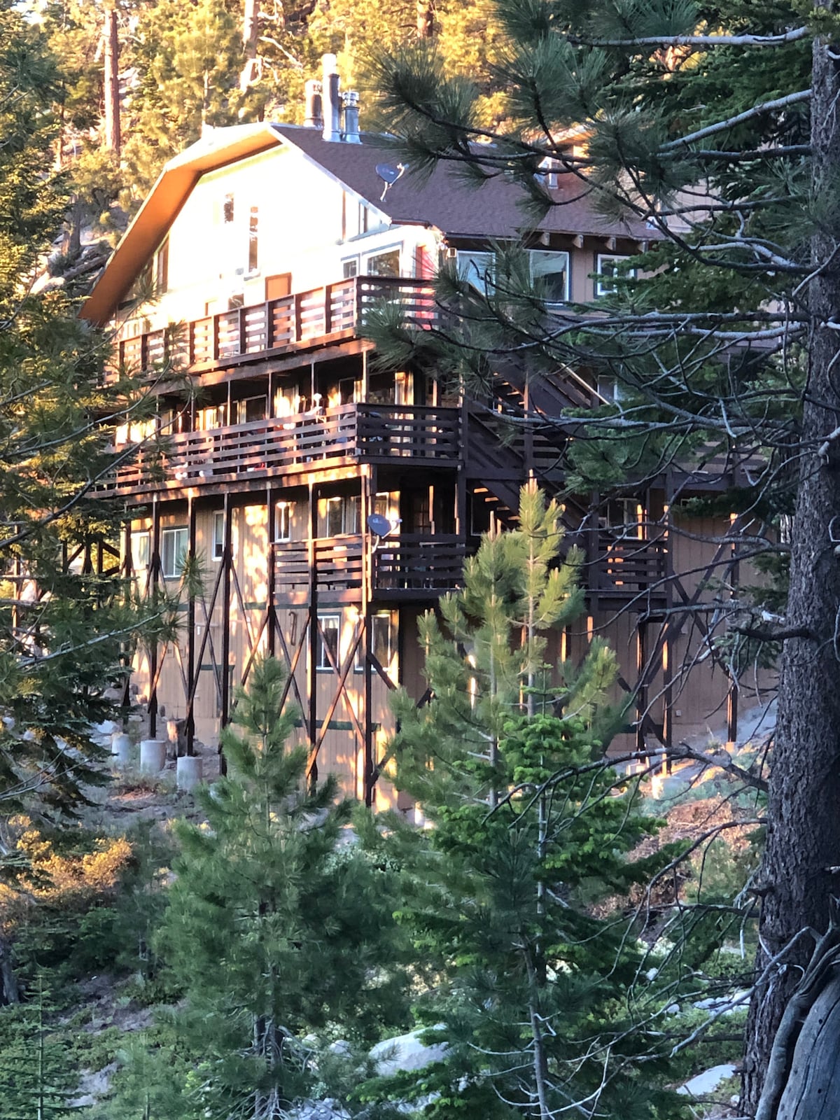 The condo is nestled among tall evergreen trees, featuring multiple balconies that overlook the surroundings. The wooden exterior and sloped roof integrate with the natural landscape, while sections of the structure are elevated on stilts, providing a unique architectural profile.