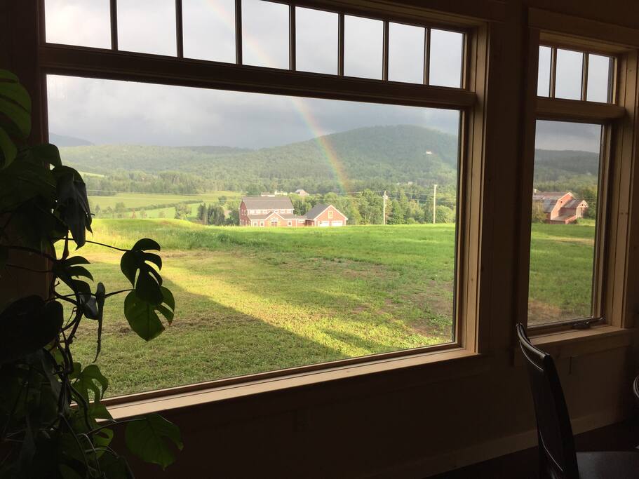 View from main windows