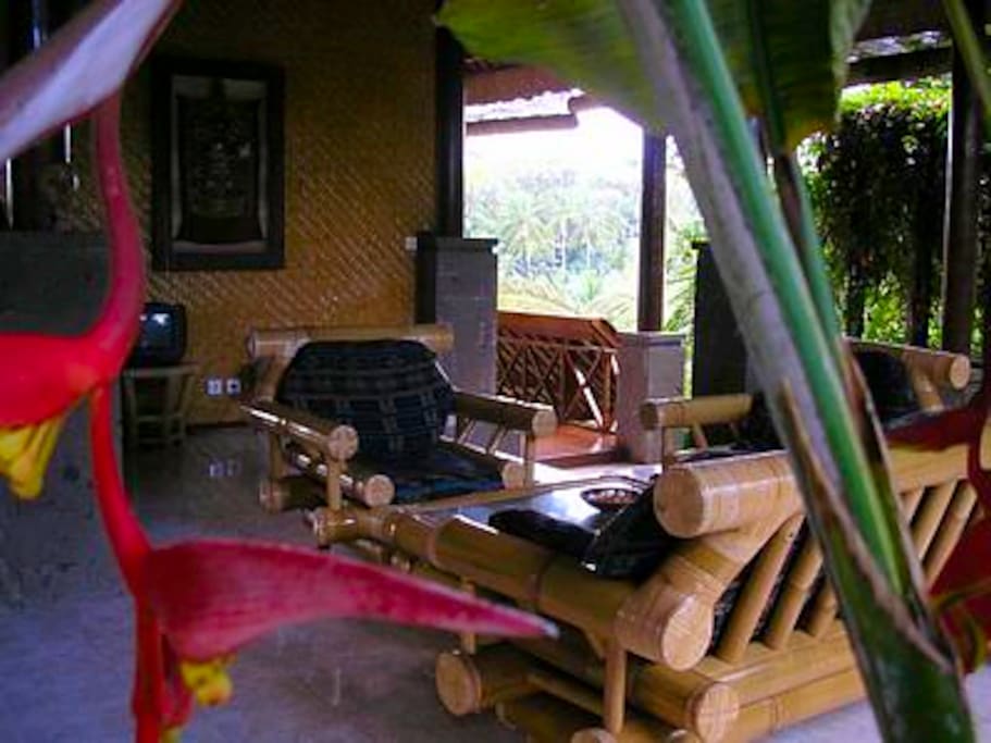 Garden Floor Living Room seen from the Entrance