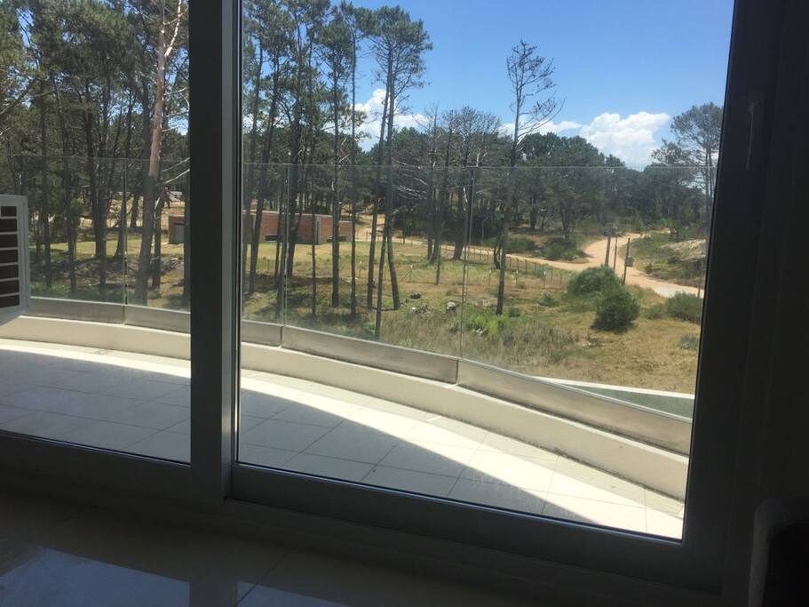 Vista a Bosque