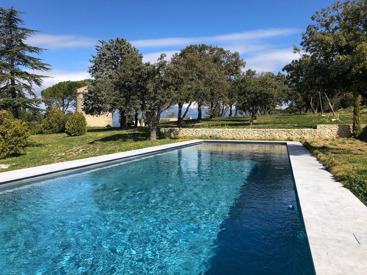 A private swimming pool is set within a large garden, framed by olive trees and lush greenery. The water's clear blue hue reflects the surrounding landscape, creating a serene atmosphere. Natural stone walls add a rustic touch, enhancing the outdoor space's tranquil feel.