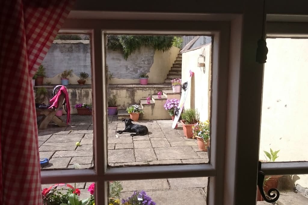 Back patio suntrap, leads up to a sunny lawn with a distant view of the sea