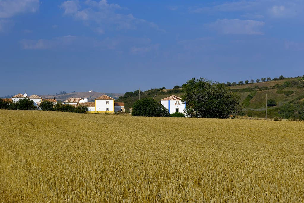 Aldeia da Mata Pequena is a small rural village, stubbornly restored to keep its 300 years old authenticity.