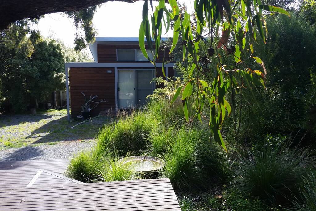 View from the main house and backyard