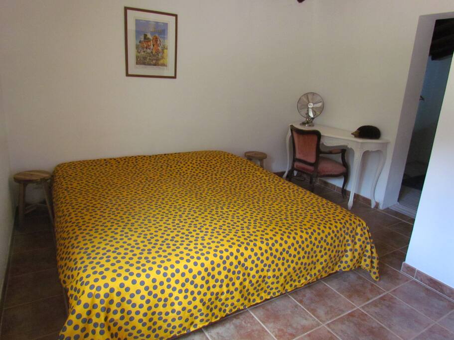 Bedroom with walk in closet. The bed can also be made into two separate beds.