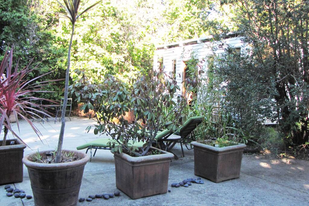Front Entrance / Patio