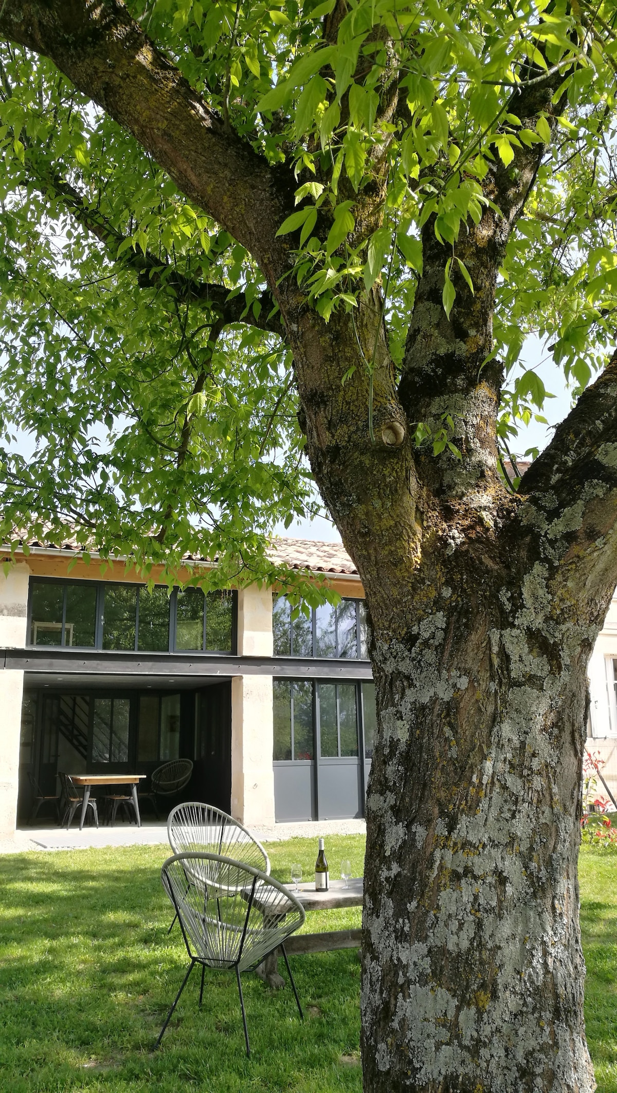 A large tree with lush green leaves stands prominently in the foreground, offering shade to a pair of outdoor chairs and a small table. In the background, the gîte's large glass doors invite natural light into the living space.