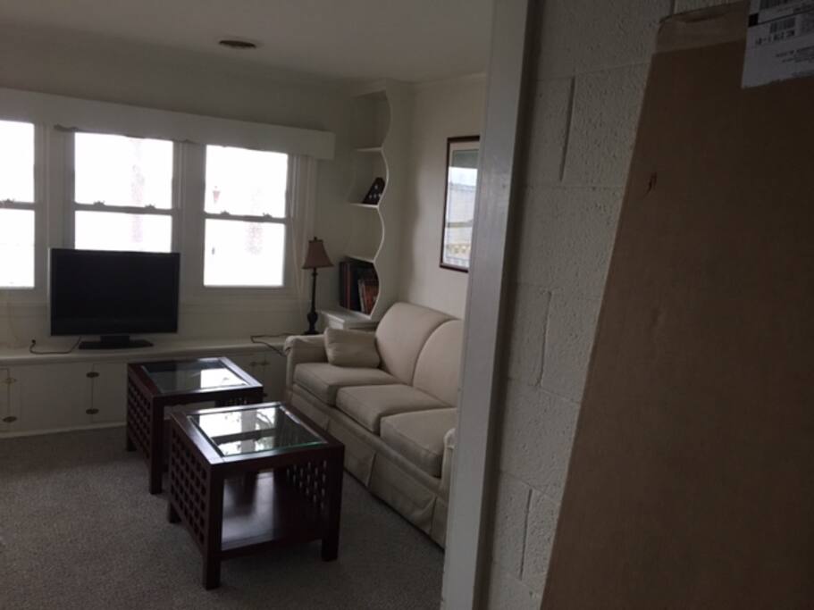 Living room with full wall of windows and fireplace