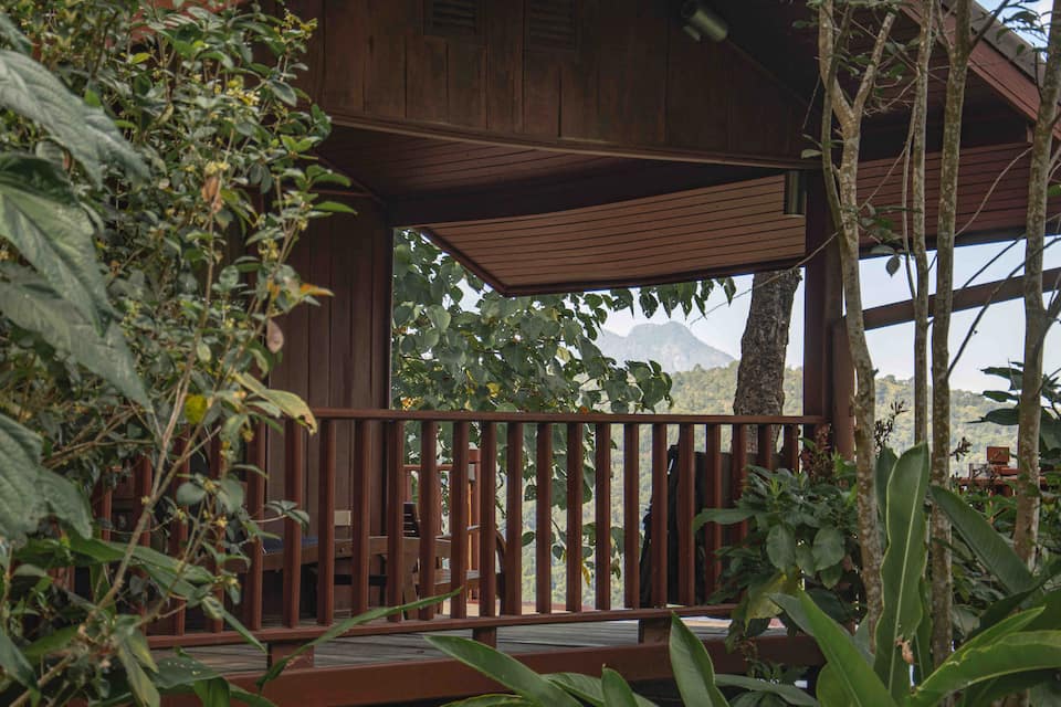 ChomView, two cabins on a tea plantation, Chiang Dao, Chiang Mai, Thailand, photo 4 of 10