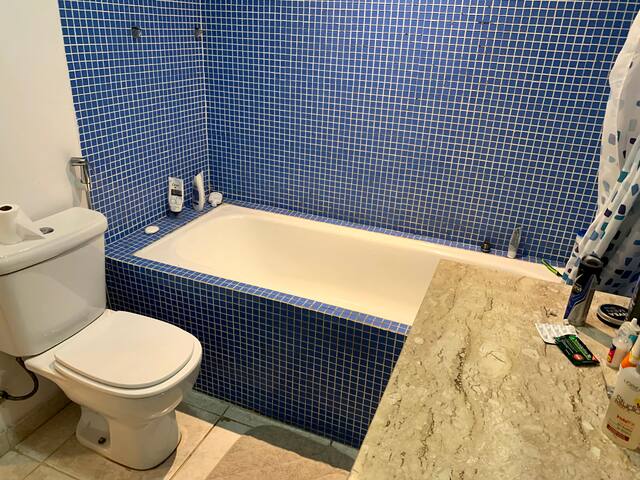 Apartamento Incrível no Leblon – Rua Dias Ferreira gallery image 5