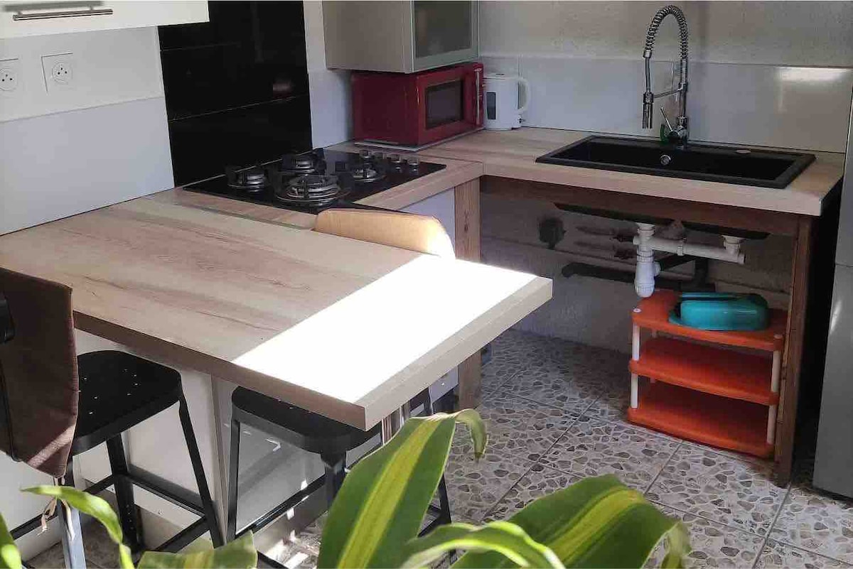 The kitchen features a compact layout with a gas stove and a single basin sink. Wooden countertops are complemented by modern appliances, including a microwave and a refrigerator. A small dining table with two chairs is positioned nearby, with a plant adding a touch of greenery.