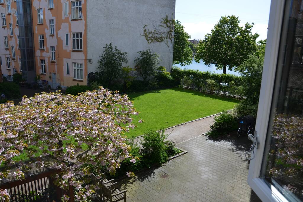 View from kitchen window