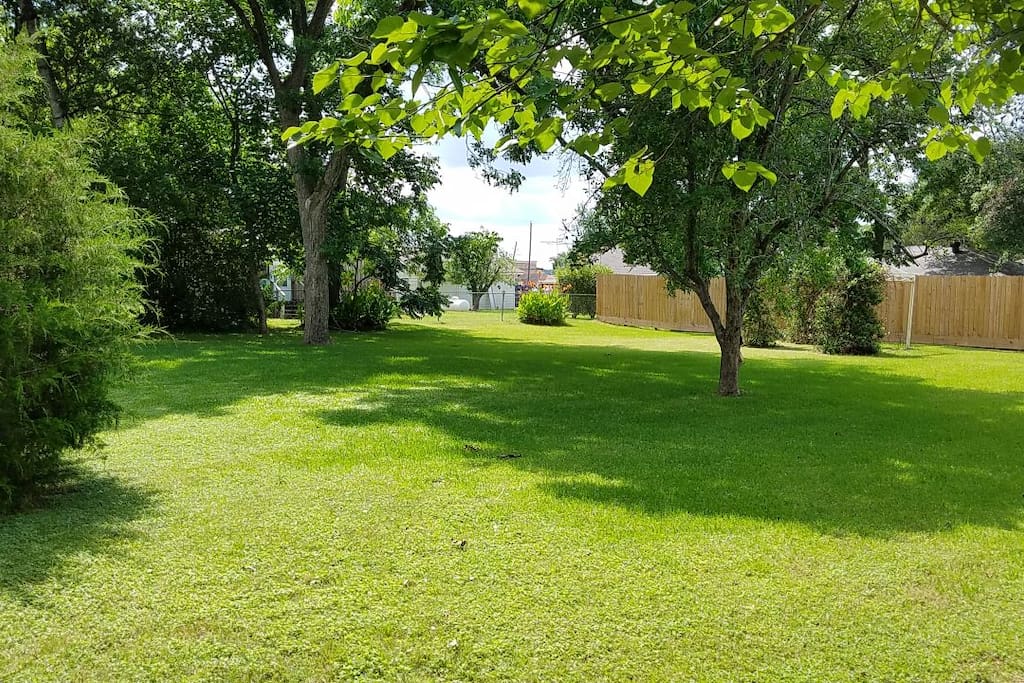 Back yard: plenty of space for games