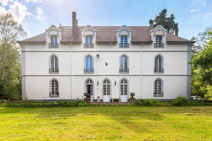 Château De La Bouleaunière / 750m² Et 3ha De Parc - Nemours