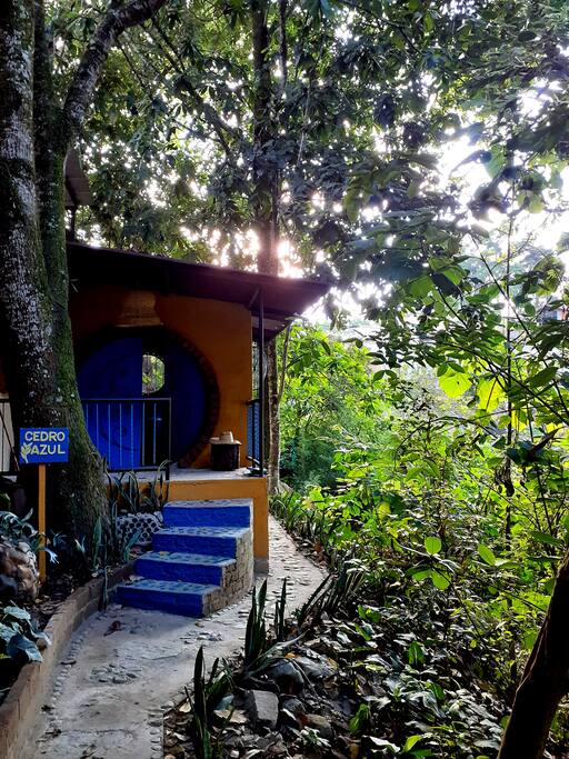 Cabañas en Ibague EcoHotel Reserva del Campo. Casas en
