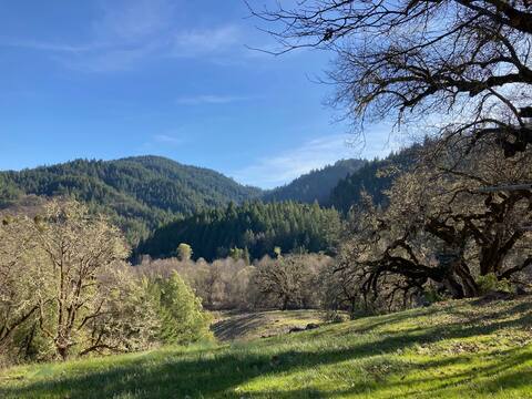 Stellar Jay Valley Oasis home-pool,hot tub,views!
