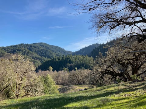 Stellar Jay Valley Oasis home-pool,hot tub,views!