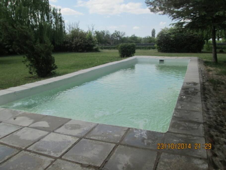 Refreshing pool, for all guests