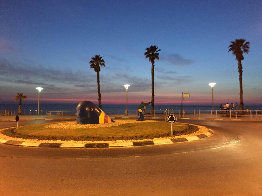 bat yam