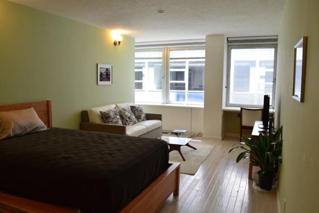Well lit spacious studio on world famous Wall Street. Full windows for fresh air and great lighting. Central heating/air, flat screen TV, wifi, comfy Queen bed, and sleeper sofa! High end quality furnishings. Excellent blinds for privacy.