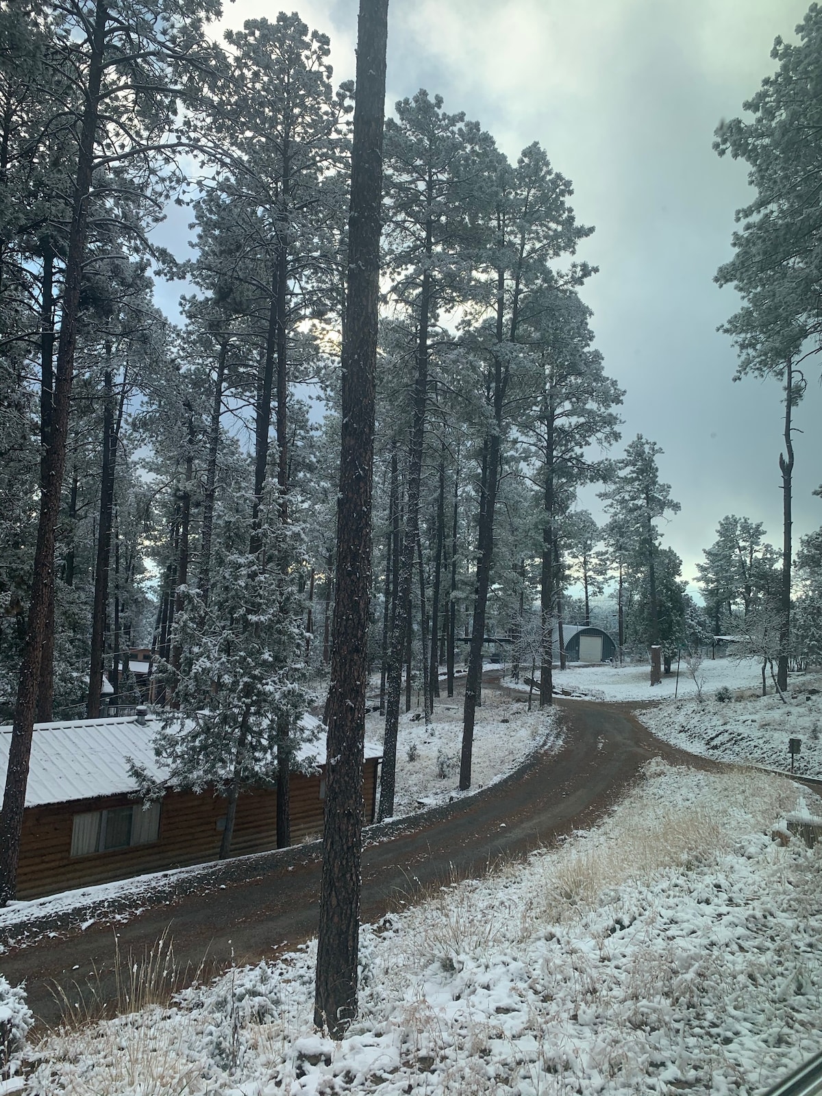 A serene winter landscape features a winding dirt road surrounded by snow-covered ground and tall pine trees. The cabin is visible to the left, with a metal roof and windows partially obscured by the snow. Soft light filters through the clouds, enhancing the tranquil atmosphere.