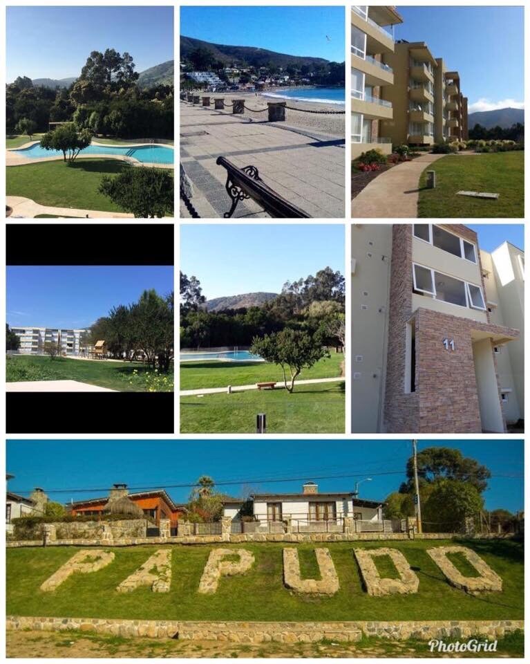 A collage showcasing the scenic grounds of a condominium in Papudo. Features include lush green lawns, a spacious pool, and modern building facades. Scenic views of surrounding hills and local architecture are visible, highlighting a harmonious blend of nature and community.