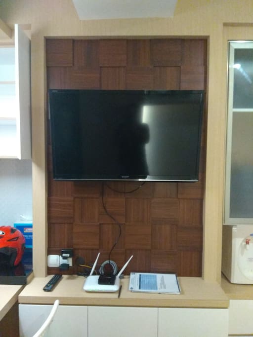 Television