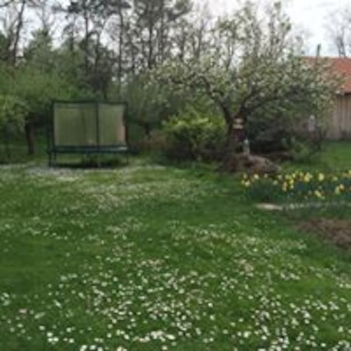 Záhrada s detským ihriskom (trampolína, smyklavka, pieskovisko) a miestom pre opekanie