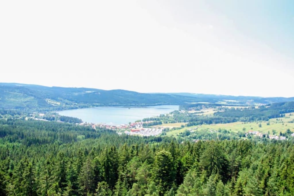 Lipno lake - Windsurfing, Swimming, ...