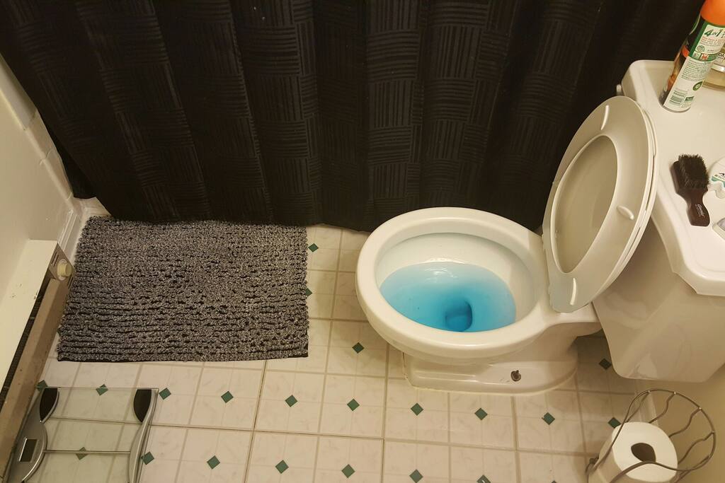 Clean bathroom, toilet is spotless and extra bathroom tissue.