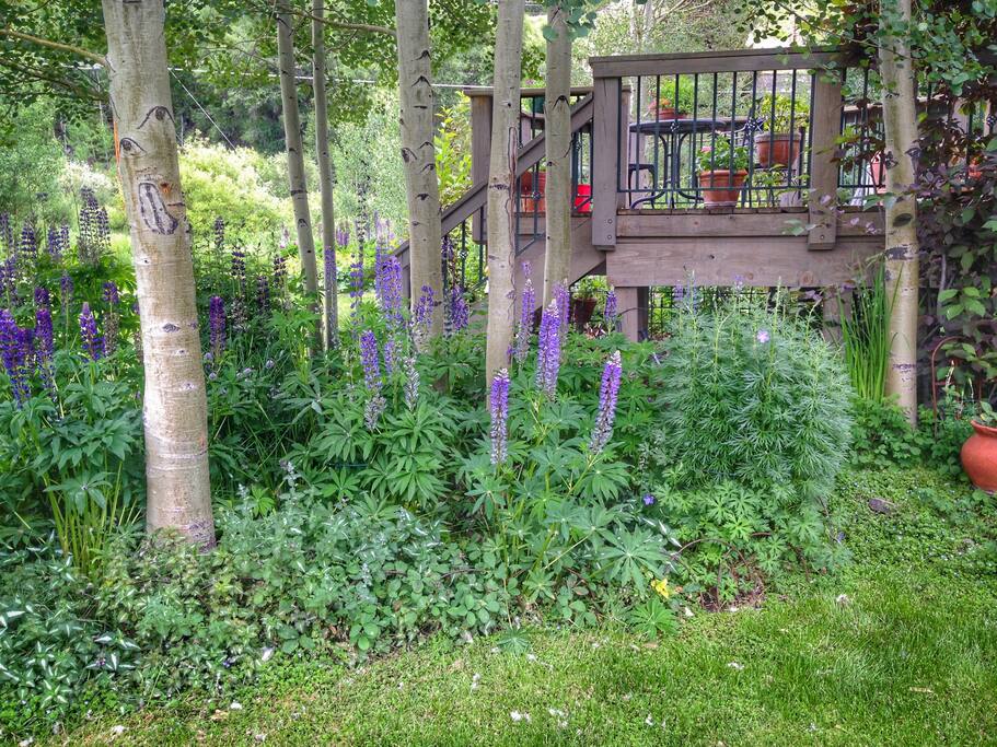 Gardens with view of lower deck