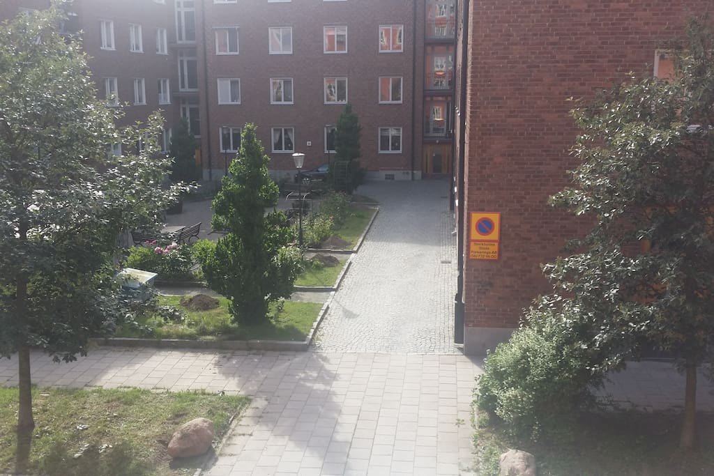Outside the window