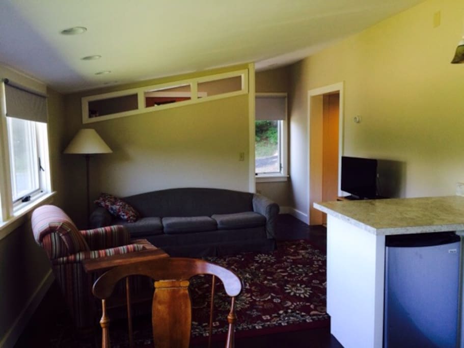 Living room with TV on Internet and Netflix.